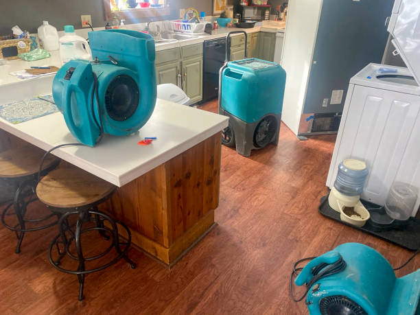 Best Ceiling water damage repair  in Baker, MT
