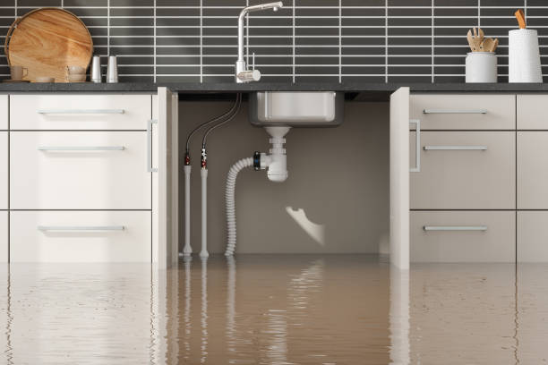 Best Fire Damage Restoration  in Baker, MT
